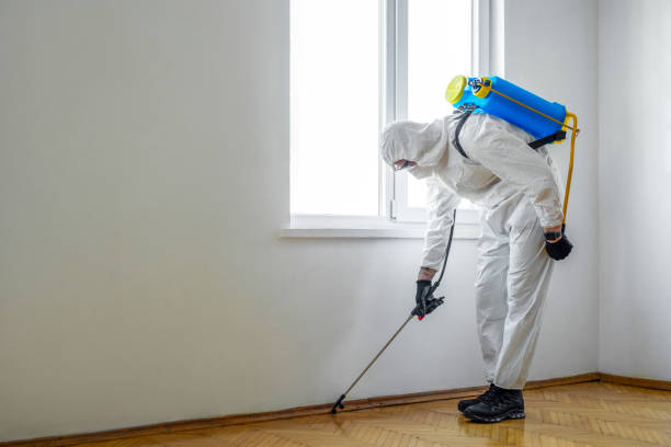Best Affordable Pest Control Services  in Arapahoe, WY