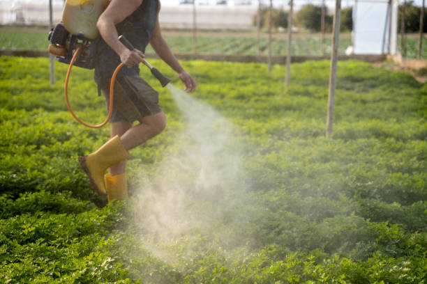 Best Affordable Pest Control Services  in Arapahoe, WY