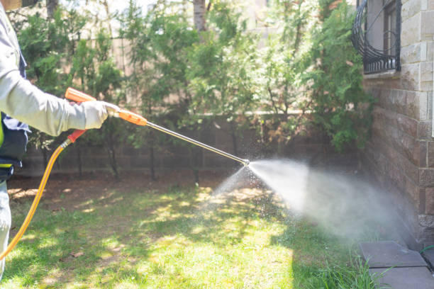 Best Local Pest Control Services  in Arapahoe, WY