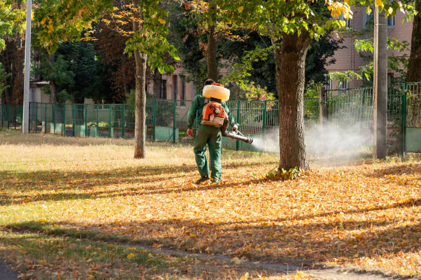 Best Pest Inspection Near Me  in Arapahoe, WY
