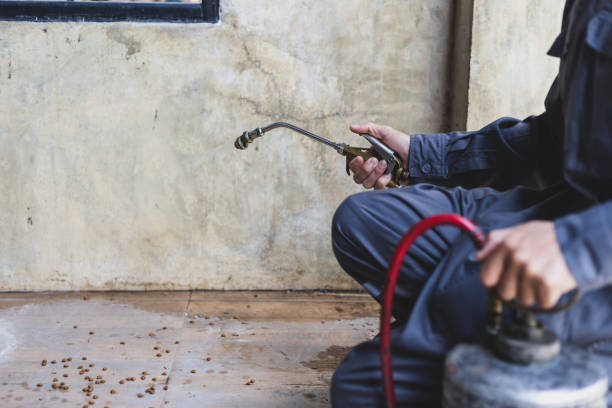 Best Best Pest Control Companies  in Arapahoe, WY